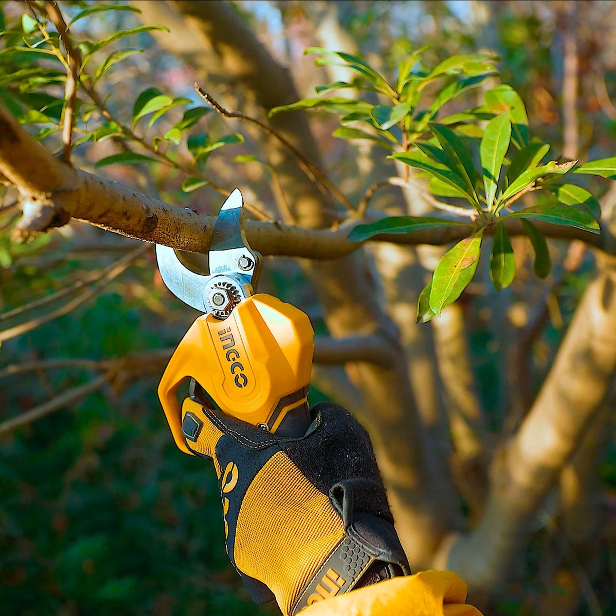 CSSLI203083 - CISAILLE DROITE 20V 1BATTERIE INGCO Maroc