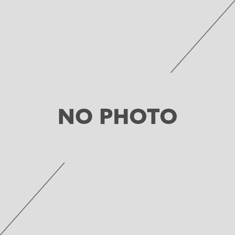 Balance industrielle INGCO | HESA33003