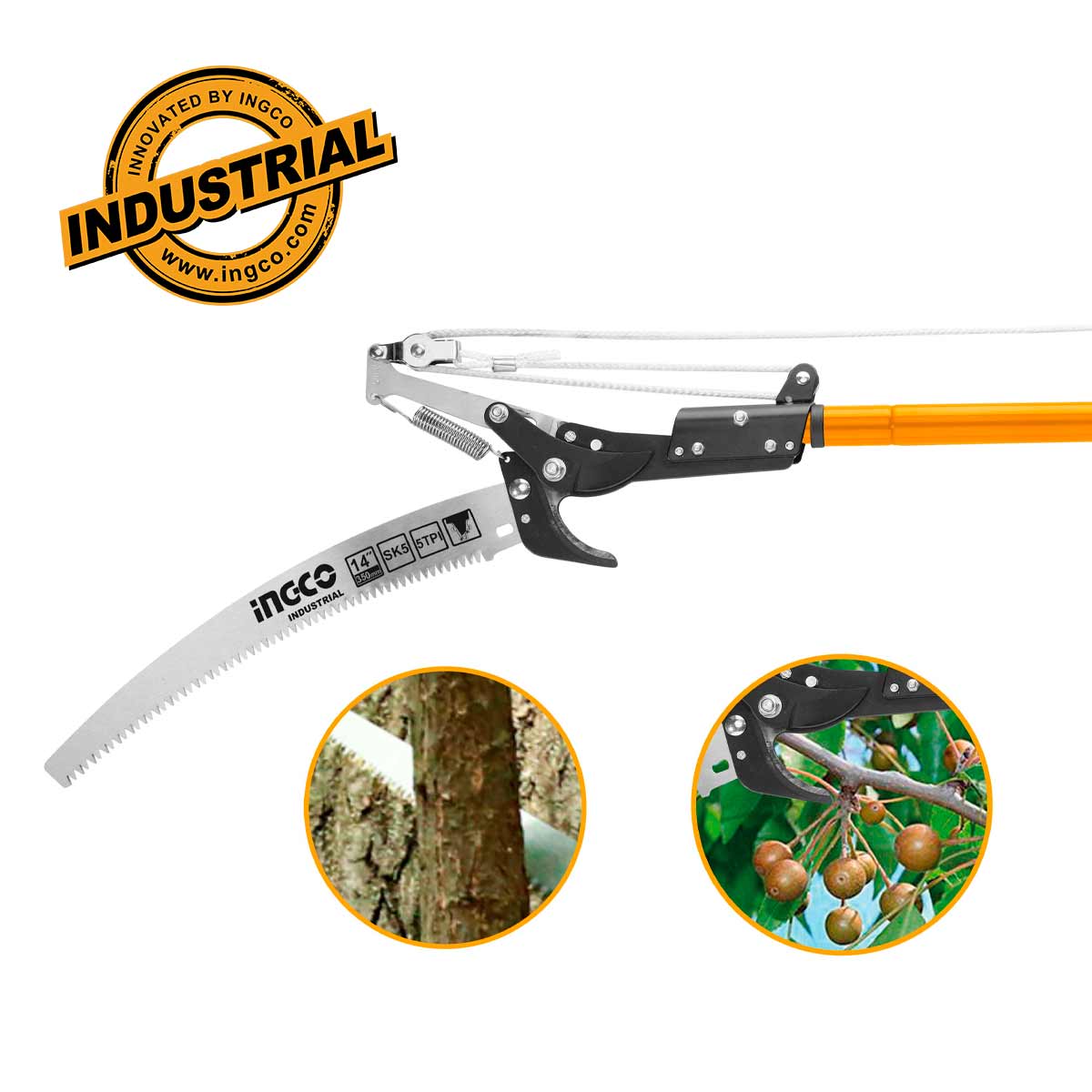 HEPS25281 - SECATEUR SUR PERCHE EXTENSIBLE INGCO Maroc
