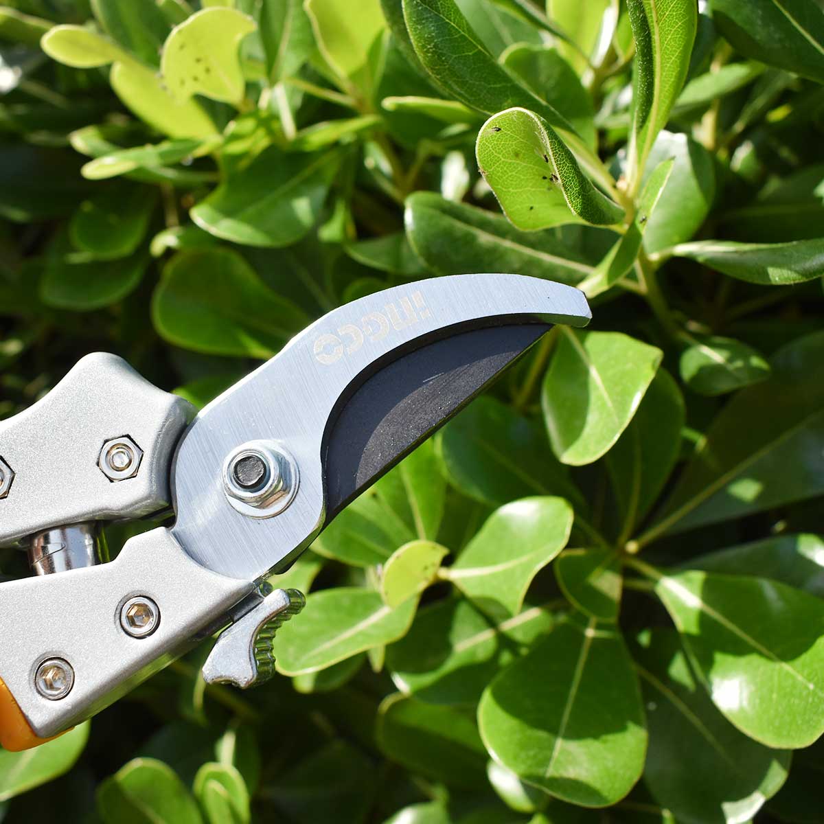 HPS0308 - SECATEUR 205MM INGCO Maroc