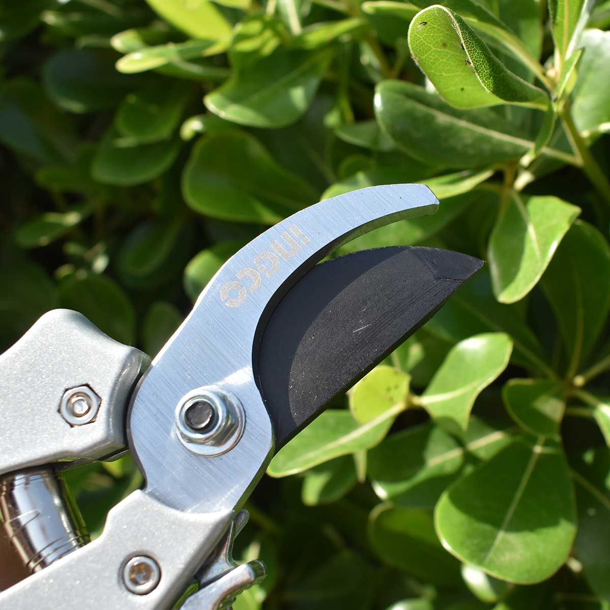 HPS0308 - SECATEUR 205MM INGCO Maroc