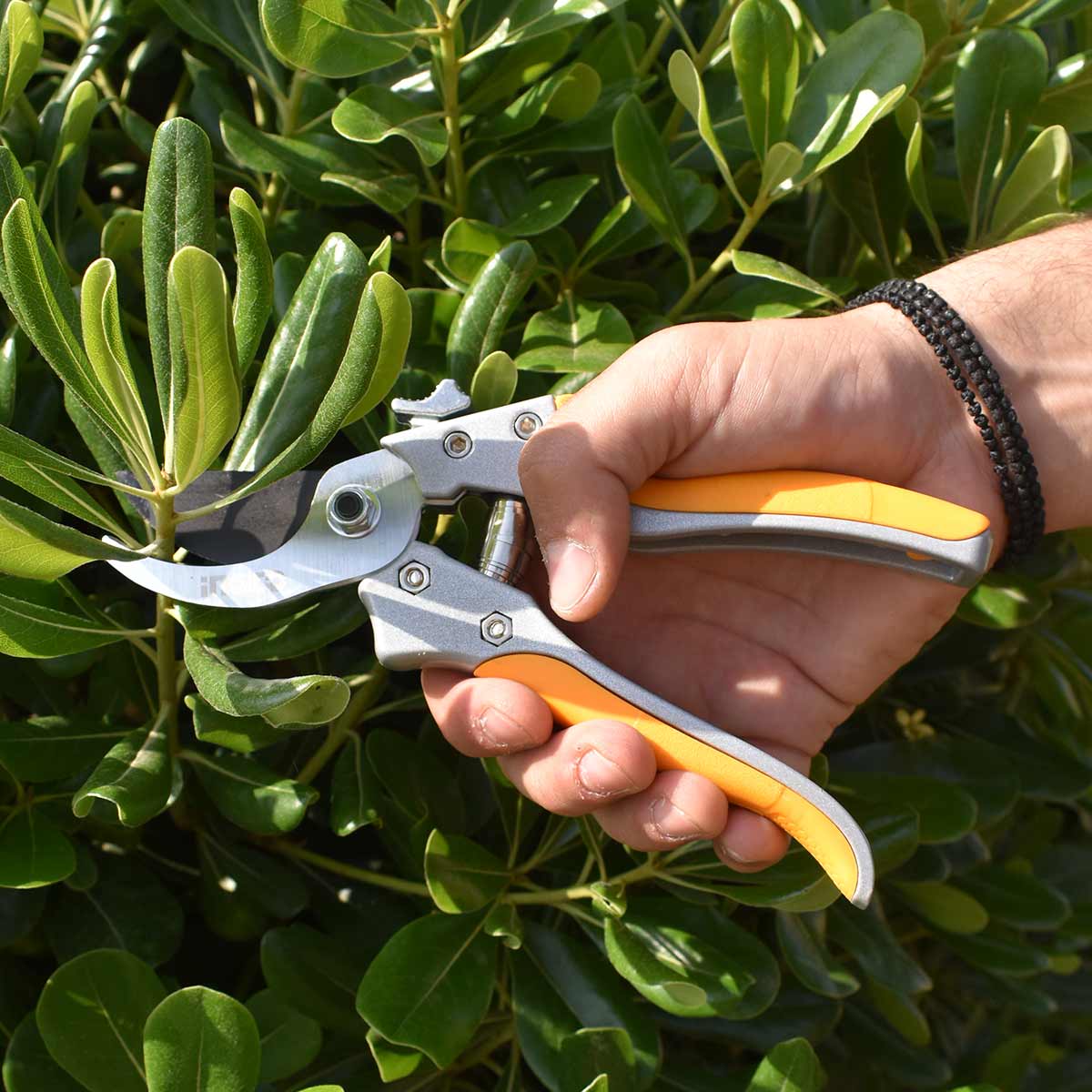 HPS0308 - SECATEUR 205MM INGCO Maroc