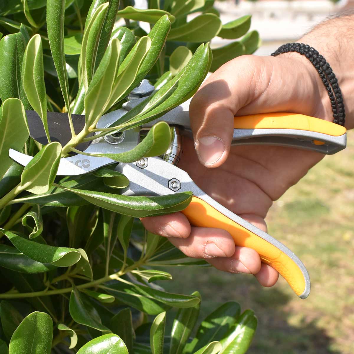 HPS0308 - SECATEUR 205MM INGCO Maroc