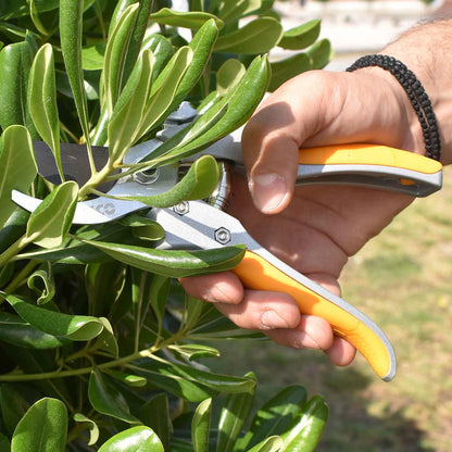 HPS0308 - SECATEUR 205MM INGCO Maroc