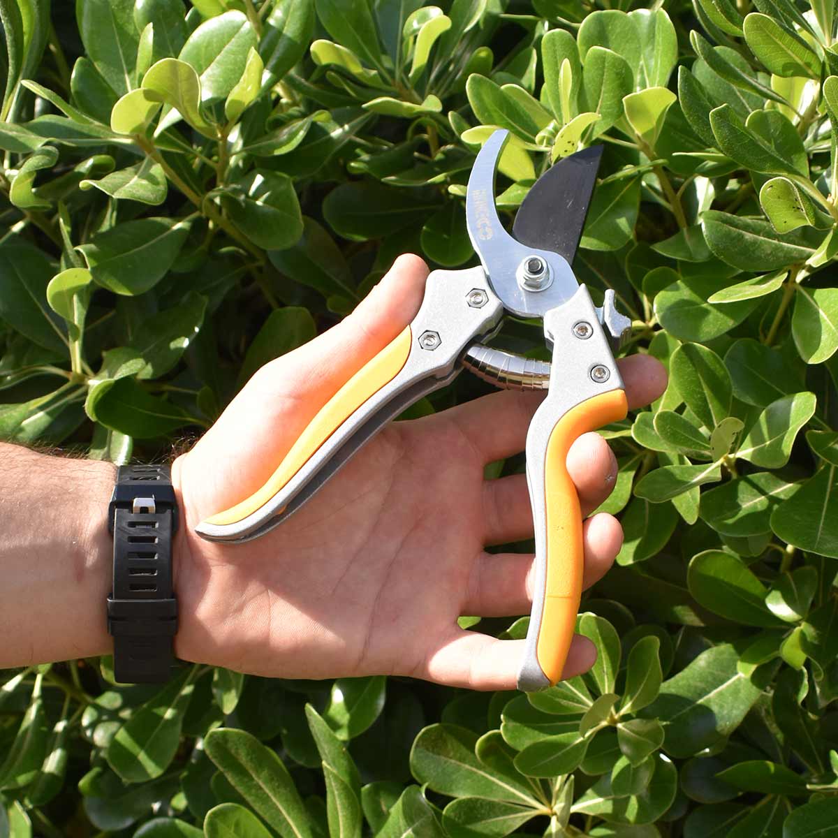 HPS0308 - SECATEUR 205MM INGCO Maroc