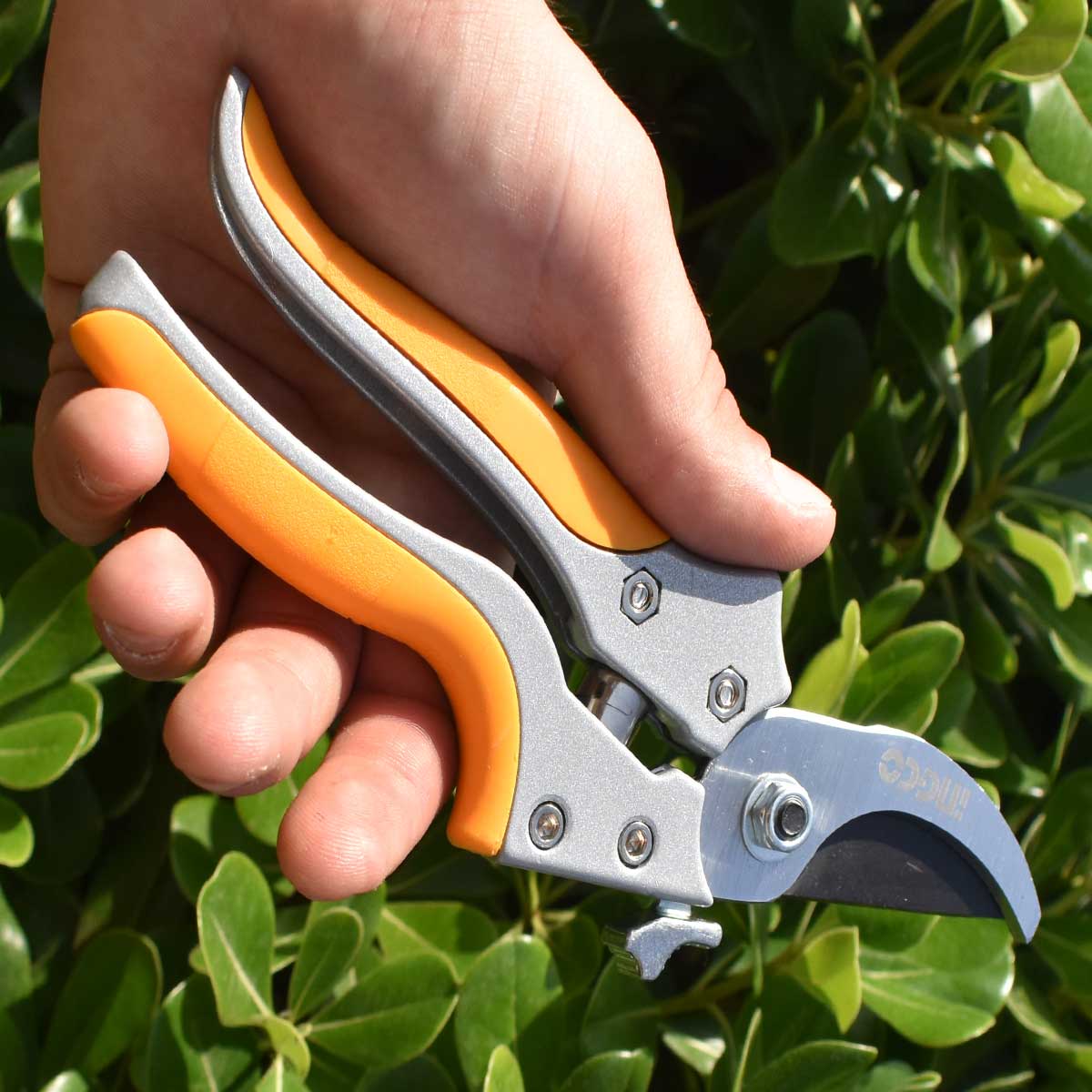 HPS0308 - SECATEUR 205MM INGCO Maroc